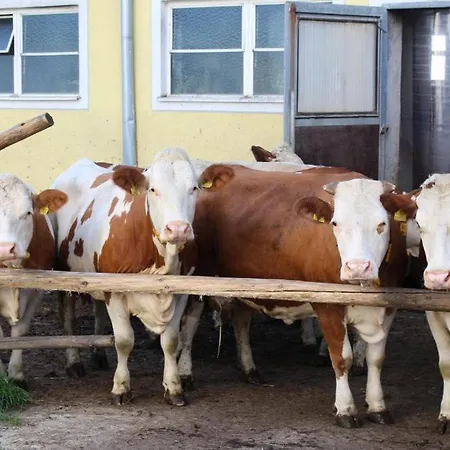 Urlaub Am Bauernhof Weichselbaum שלוס רוסנאו