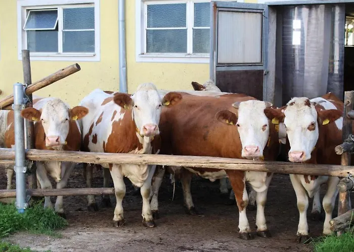 Urlaub Am Bauernhof Weichselbaum Schloss Rosenau